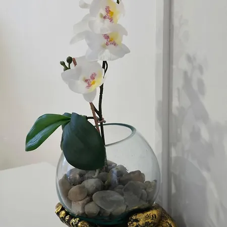 La Porte Du Chemin سان جان بييه دو بور