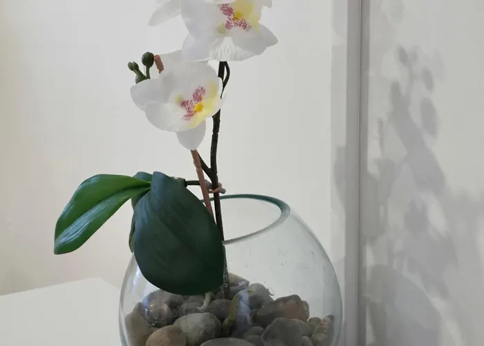 La Porte Du Chemin 圣让皮耶德波尔